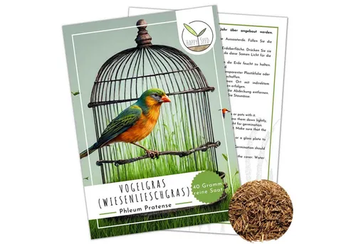 HappySeed Blumensamen Vogelgras Samen - (Phleum pratense), Blumen