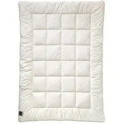 billerbeck Kunstfaserbettdecke 520 ALCANDO® - Bettdecken für Sommer und Winter, kuschelige AIRSOFT® Hohlfaserfüllung, ideal für Allergiker, 155 cm x 220 cm, maschinenwaschbar bei 60°C.
