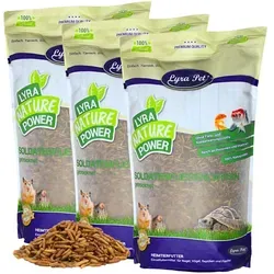 Lyra Pet® Soldatenfliegenlarven 15 kg - Hochwertiges Vogelfutter - Vogelfutter mit proteinreichen, getrockneten Soldatenfliegenlarven, ideal für das Wachstum und die Federbildung von Vögeln. Umweltfreundlich und das ganze Jahr über verfütterbar!