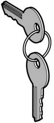 Schneider Electric ZBG455 ZBG455 Schlüssel 1 St.