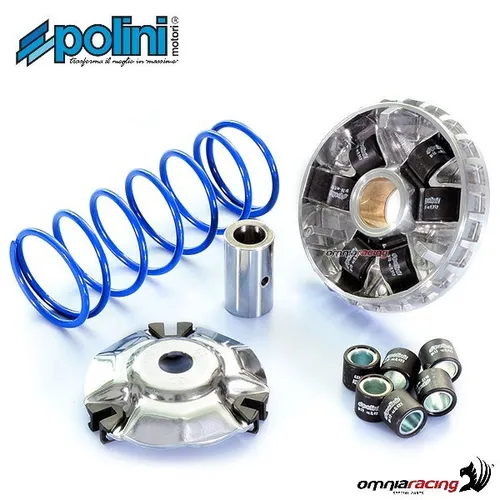 Polini Hochgeschwindigkeitsvariator für Peugeot Citystar R125