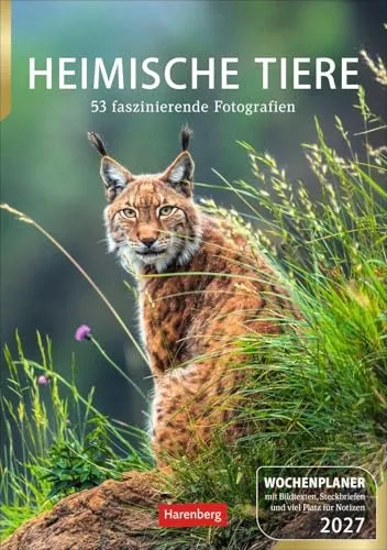 Markus Hattstein | Heimische Tiere Wochenplaner 2027 - Praktischer Wochenplaner mit 108 Seiten, Spiralbindung und wunderschönen Tierfotos. Ideal für Tierliebhaber und zur perfekten Organisation des Alltags.