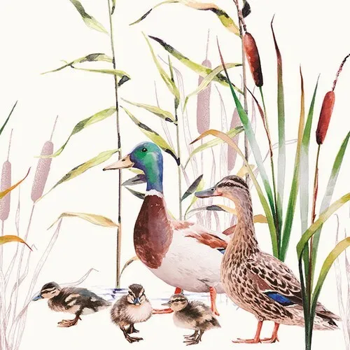 Servietten Ducks Couple Wildenten Küken Tiere Natur Schilf Gräser 33x33cm 20