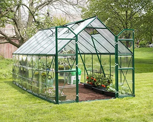 Palram Canopia Balance 8x16 Gewächshaus Grün - Robustes Gewächshaus (487 x 244 cm) mit nahezu unzerbrechlichen Polycarbonat-Seiten für optimale Lichtverhältnisse. Ideal für die Anzucht von Bio-Pflanzen, einfach zu montieren und mit integriertem Rinnensystem.