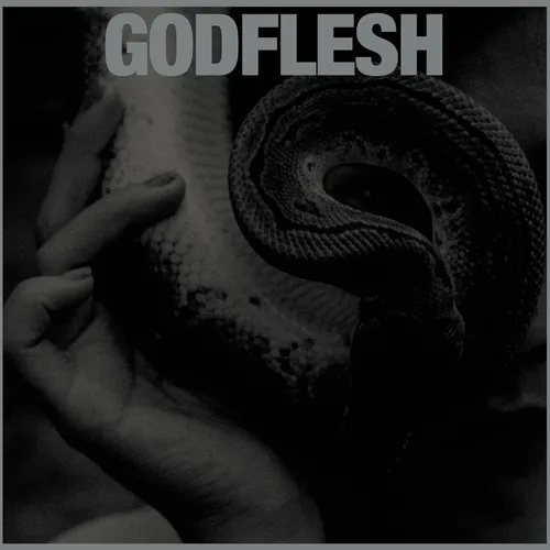 Godflesh Purge (Vinyl) 12