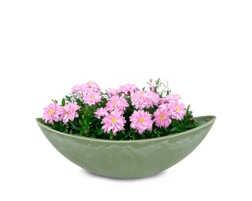 matches21 HOME & HOBBY Blumentopf Große Pflanzschale oval 39 cm für draussen Dekoschale grün (1 St), Blumen-Schale als wetterfeste Friedhof-Schale Grab-Schmuck Grabschale