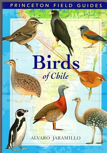 Birds of Chile (Princeton Field Guide) - Hörbuch über die Vögel Chiles, ideal für Natur- und Vogelbeobachtungsliebhaber, bietet umfassende Informationen und faszinierende Einblicke.