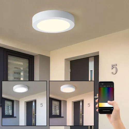 Dimmbare Außenlampe - Smart Home LED Wandleuchte & Deckenleuchte - Moderne LED Außenlampe mit Dimmfunktion und spritzwassergeschütztem Design, ideal für die Beleuchtung von Eingängen und Terrassen.