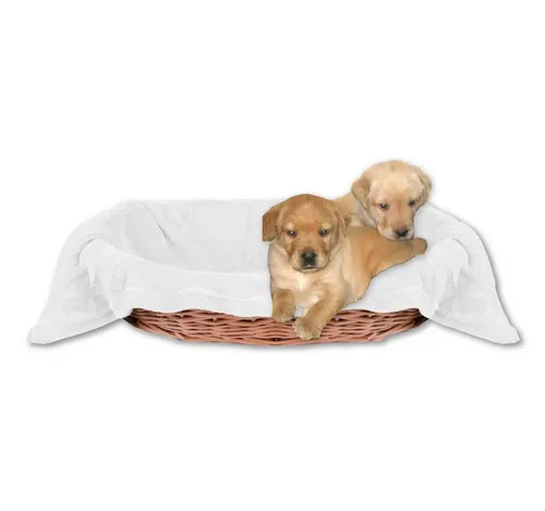 Bestlivings Tierdecke Hundedecke / Katzendecke, Kuscheldecke für Haustiere, Schlafplatz/-decke, versch. Variationen