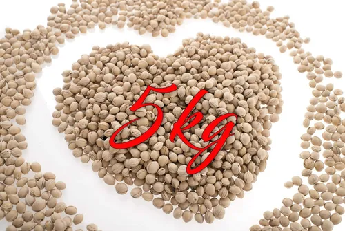 Medi Partners lose Kirschkerne Kissenfüllung für Wärmekissen Ergotherapie natürl