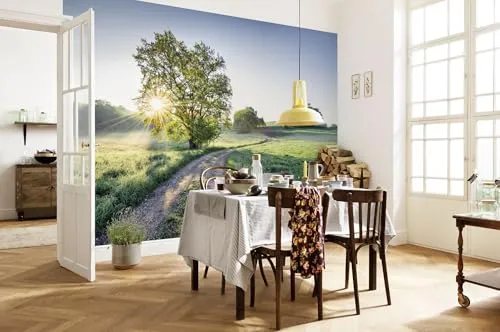 Komar Fototapete - Meadow Trail 368 x 254 cm - Wand- & Tischbilderrahmen, hochwertige Fototapete aus deutschem Spezialpapier mit brillanter Bildqualität und einfacher Montage für ein visuelles Erlebnis in jedem Raum.