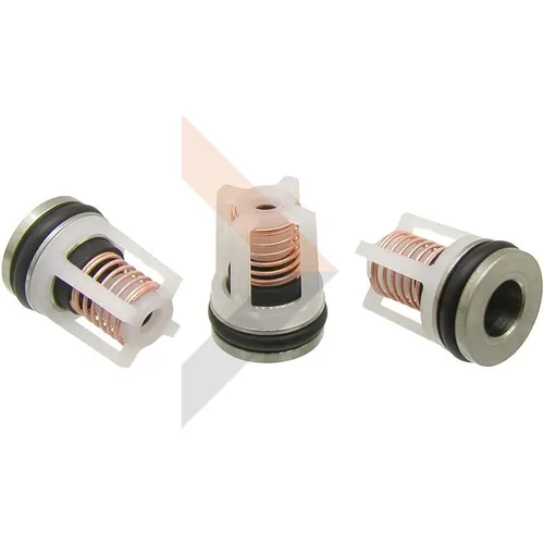 Karcher 4.580 – 237.0 – Ventil komplett