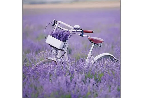 Papierservietten Lila von Ambiente