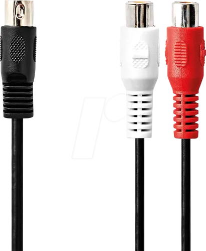N CAGL20250BK02 - Audio Kabel, 5-pol DIN Stecker auf 2x Cinch Buchse, 0,2 m