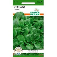 SAMEN PFANN Feldsalat Accent