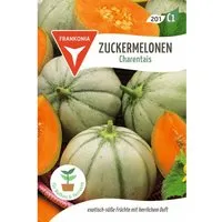 FRANKONIA Zuckermelone Charentais