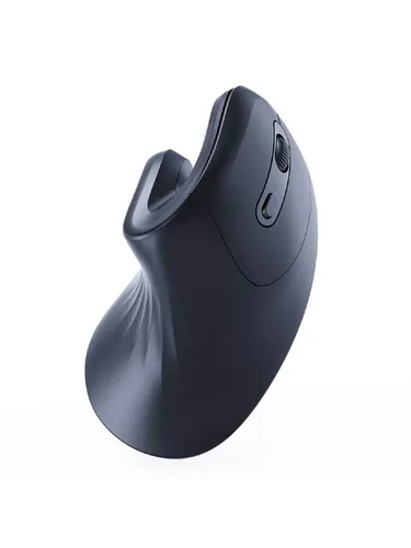 Gembird Ergonomic 6-button wireless optical mouse - Ergonomische Maus (Schwarz)