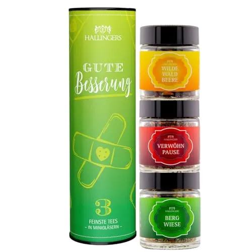 Hallingers Genuss Manufaktur Tee Geschenkset Genesung – 3 Sorten Premium loser Tee in edler Geschenkdose, veganes Tee Set