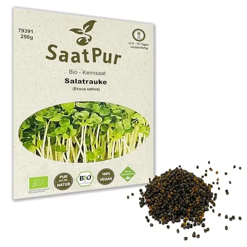 250g BIO Keimsaat Salatrauke Ruca Rauke Rucola Keimsprossen Mikrogrün Keimling Mikrogreens