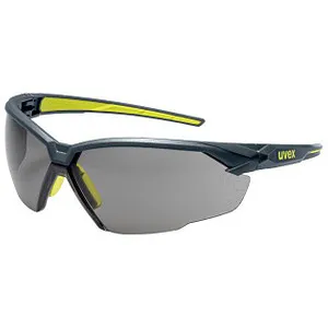 Uvex Safety Schutzbrille suXXeed 9181 anthrazit (9181281)