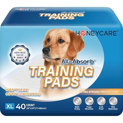 All-absorb XL-Training-Pads 71 x 86 cm, 40 Stück von HONEY CARE