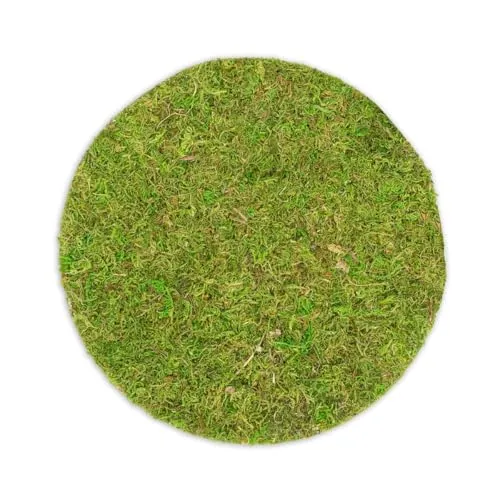 NaDeco Moosplatte rund, mit einem Durchmesser von 25cm | Moosbild | Moosmatte | Moos Ziegel | Mooswand | Moosfliese | Wandbild | Flachmoos | Asia Moos | Waldmoos | Moosteppich