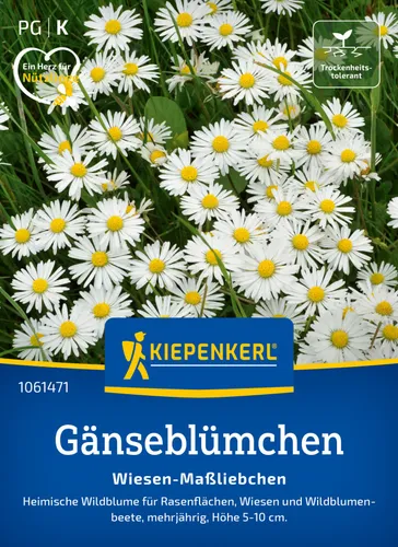 Pflanzen Weiß von Kiepenkerl