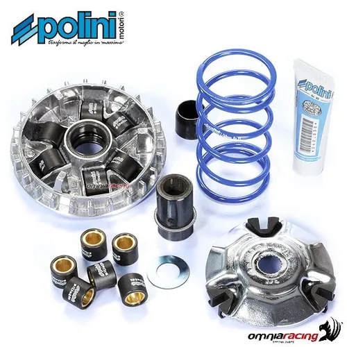 Polini Hochgeschwindigkeitsvariator für Piaggio FLY 125 3V ie 2012>