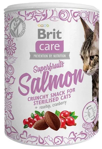 BRIT Care Superfruits Salmon von Brit