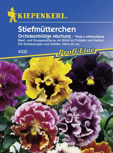 Kiepenkerl Stiefmütterchen Orchideenblütige Mischung Viola x wittrockiana, Inhalt: ca. 40 Pflanzen