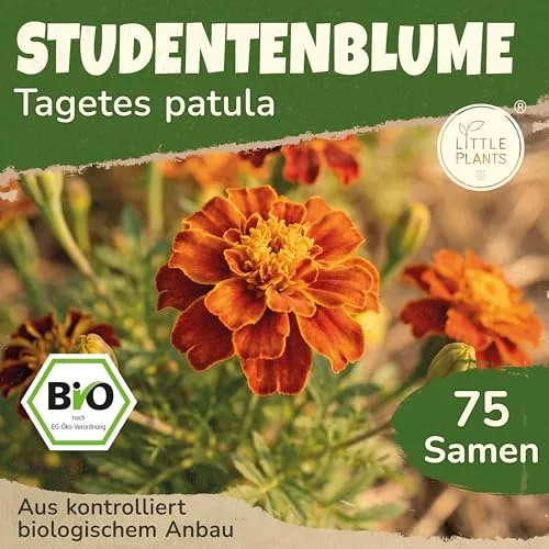 Saatgut von Little Plants