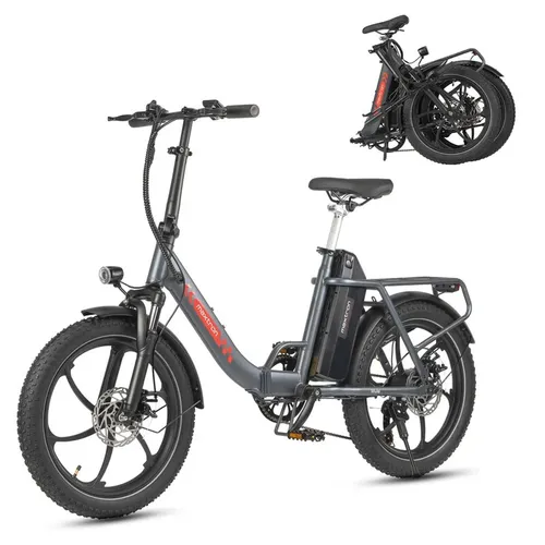 E-Bikes bis 800 Euro von Maxtron
