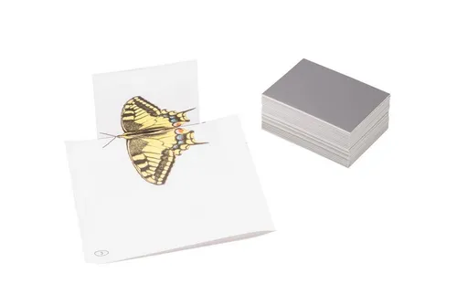 Wissner® aktiv lernen Lernspielzeug Spiegel klein (25 Stück), Spiegelschrift Symmetrie Geometrie (25-St), Hergestellt in Bensheim/Hessen/Deutschland.