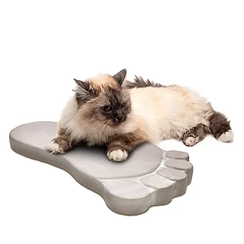 matches21 HOME & HOBBY Trittsteine Fuß für Garten und Gehwege