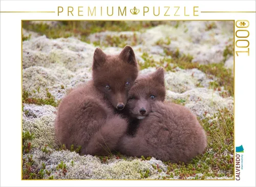 CALVENDO Puzzle Seite an Seite – 1000 Teile - Erleben Sie die faszinierende Welt junger Polarfüchse in einem hochwertigen Puzzle. Mit präziser Stanzung und exzellenter Druckqualität ist dieses 1000-teilige Puzzle ideal für entspannende Stunden mit der Familie.