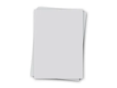 REGULUS Selbstklebefolie SIGNOLIT SC, DIN A4, silber 100 - Selbstklebefolie in DIN A4, ideal für kreative Projekte. Hochwertige silberne Oberfläche, die für vielseitige Anwendungen geeignet ist.