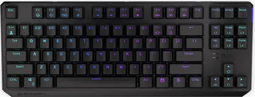 ENDORFY Thock TKL Wireless Black - Mechanische TKL Tastatur - Kabellose TKL Gaming Tastatur mit programmierbarer RGB-Beleuchtung und langlebigen PBT-Tastenkappen für ein individuelles Spielerlebnis.