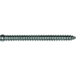 Rahmenanker 7.5x 72 Zylinderkopf Ø7.5 Torx30 Verzinkt
