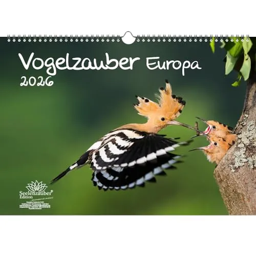 Vogelzauber Europa DIN A3 Kalender für 2026 Vogel - Seelenzauber
