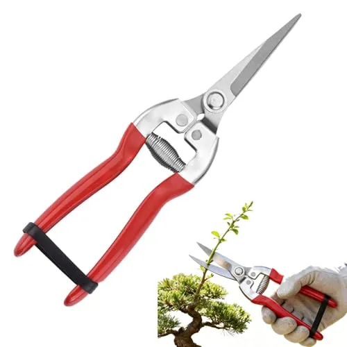 CTForest Gartenschere, Ernteschere aus Edelstahl, Ernteschere mit Langer Reichweite, Geeignet zum Beschneiden von Ästen im Garten und zum Beschneiden von Blumen(Rot)