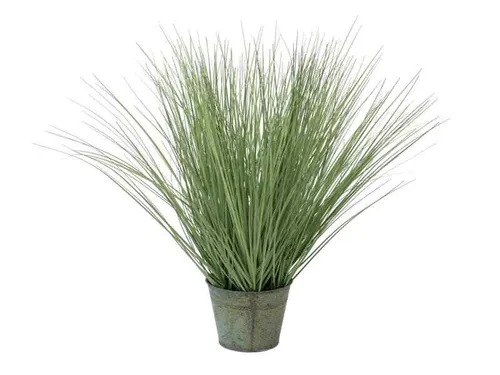 Europalms Ziergras, 65cm