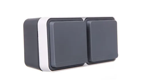 Berker W.1 Doppelte horizontale Steckdose IP55 in schwarz von HAGER POLSKA