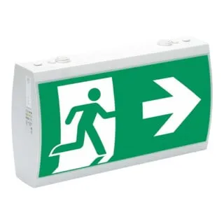 Ceag LED-Rettungszeichenleuchte RAL7035 IP41 SV EURO 2-3/D - Rundumleuchte & Warnleuchte: Hochwertige LED Einzelbatterieleuchte mit klarer Scheibe, ideal für Sicherheitslösungen gemäß ISO 7010.