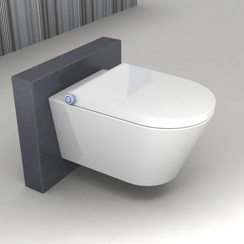 BERNSTEIN 1102 Spülrandloses Dusch WC