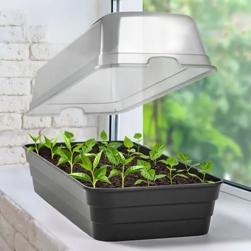 Pflanzen Kölle Anzuchtbeet mit Haube 51x23xH19 cm von Pflanzen-Kölle