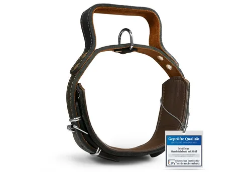 Hundehalsband mit Griff aus hochwertigem Leder, 40-55cm - Klassisches Hundehalsband, extrem robust und weich gepolstert. Ideal für die Kontrolle großer Rassen dank Handgriff und verstellbarem Design.