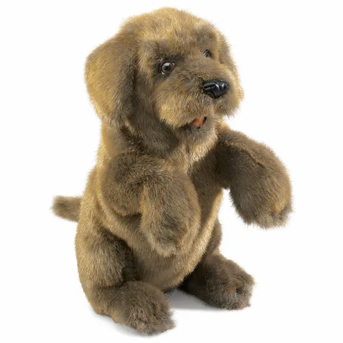 Folkmanis Handpuppen Sitzender Hund - Puppen, interaktive Handpuppe für kreatives Spiel, ideal für Kinder ab 3 Jahren und fördert die Fantasie.