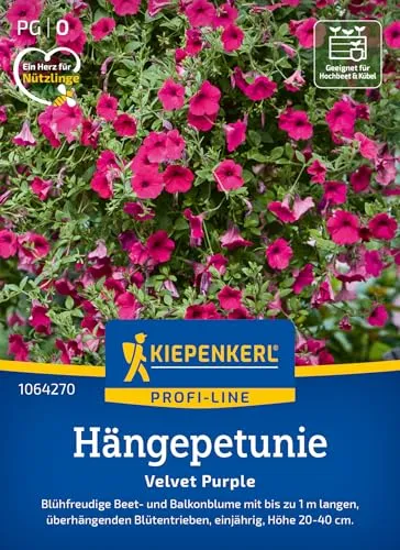 Kiepenkerl Profi-Line Hängepetuniensamen Velvet Purple 1064270 - Blühfreudige Beet- und Balkonblume - Höhe 20-40 cm - Blumensamen, Blumenwiese Samen