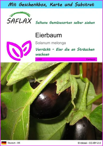 SAFLAX Gemüsesamen SAFLAX - Geschenkset - Eierbaum