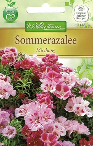 Chrestensen Sommerazalee 'Mischung'